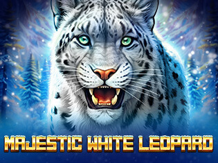 Majestic White Leopard